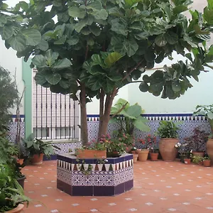 https://hotel-hostal-drago.1costadelsol.com